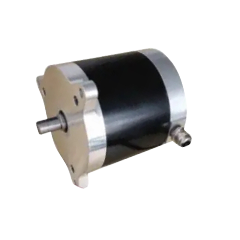 BL100 100mm diameter electric forklift motor with 24VDC 300W