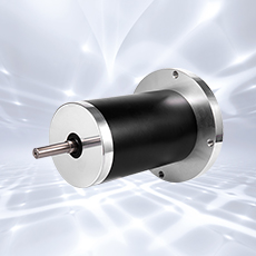 Brushed DC Motors